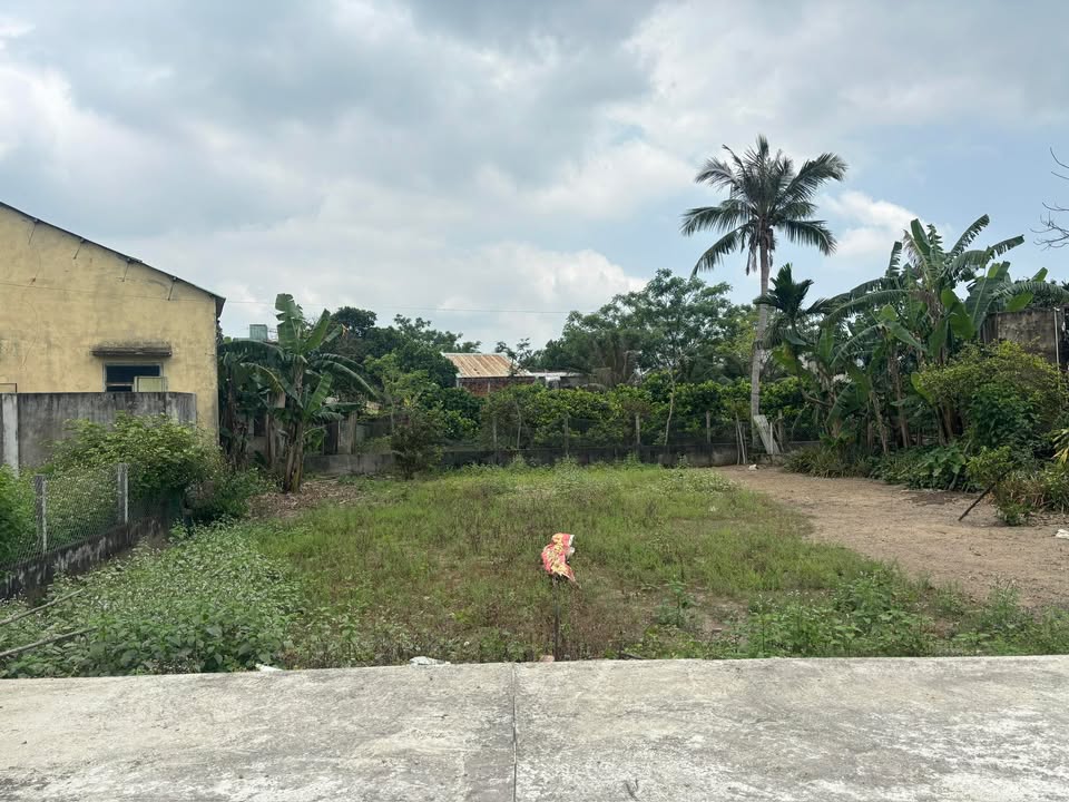 Đất nền Hòa Xuân 240m² giá 1.4 tỷ - Đầu tư sinh lời nhanh chóng!