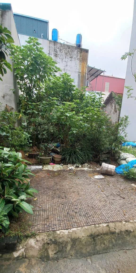 Đất nền Đại Áng, Thanh Trì 49m² giá chỉ 4 tỷ - Cơ hội đầu tư sinh lời!