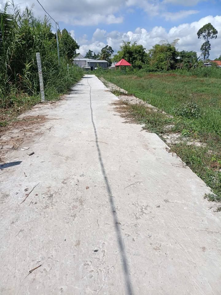 Đất cây lâu năm 700m² tại Phong Hòa, Đồng Tháp - Giá chỉ 390 triệu, thương lượng ngay!