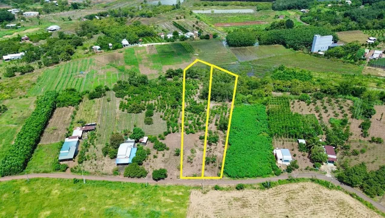 Đất nền ấp 1, xã Thanh Hòa, huyện Bù Đốp, giá chỉ 680 triệu - Cơ hội đầu tư hấp dẫn!