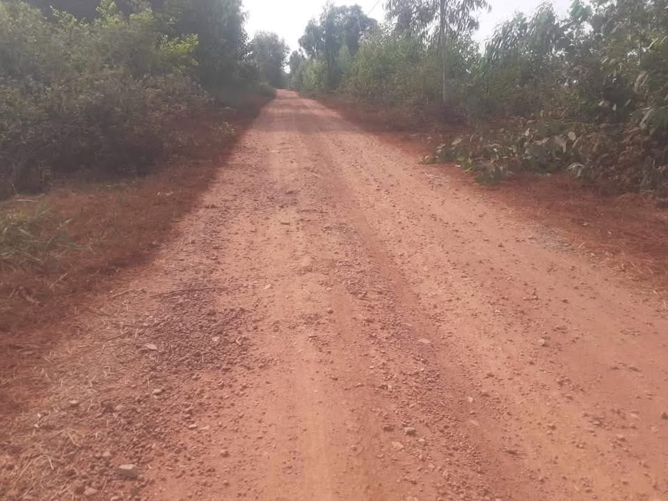 Đất nền 2 mặt tiền 40000m² Tân Hiệp, Thạnh Hóa - Giá chỉ 600 triệu VND