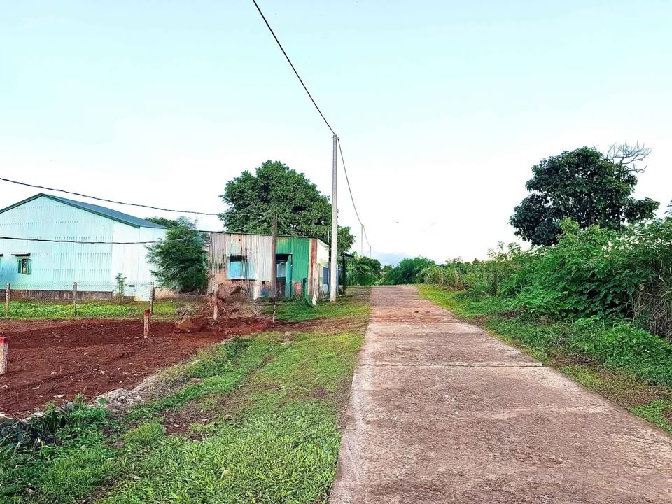 Đất nền hẻm 104 Trần Văn Ơn, Pleiku 200m² - Giá tốt, sổ đỏ chính chủ!