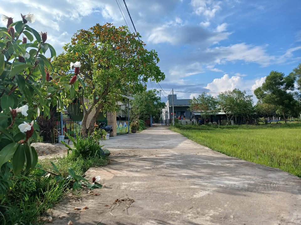 Đất nền Hòa Khương Đà Nẵng 150m² giá thỏa thuận - View lúa đẹp như tranh!