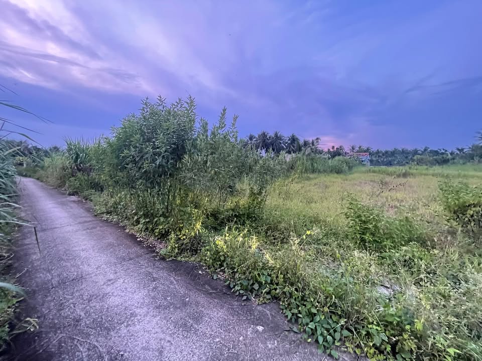 Đất hẻm Long Hoà A, Đạo Thạnh 820m² giá 4 tỷ - Đầu tư sinh lời hấp dẫn!