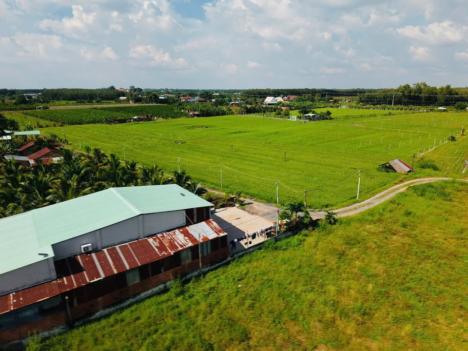 Đất thổ cư Tân Bình Tây Ninh 400m² giá 6 tỷ - Cơ hội đầu tư sinh lời!