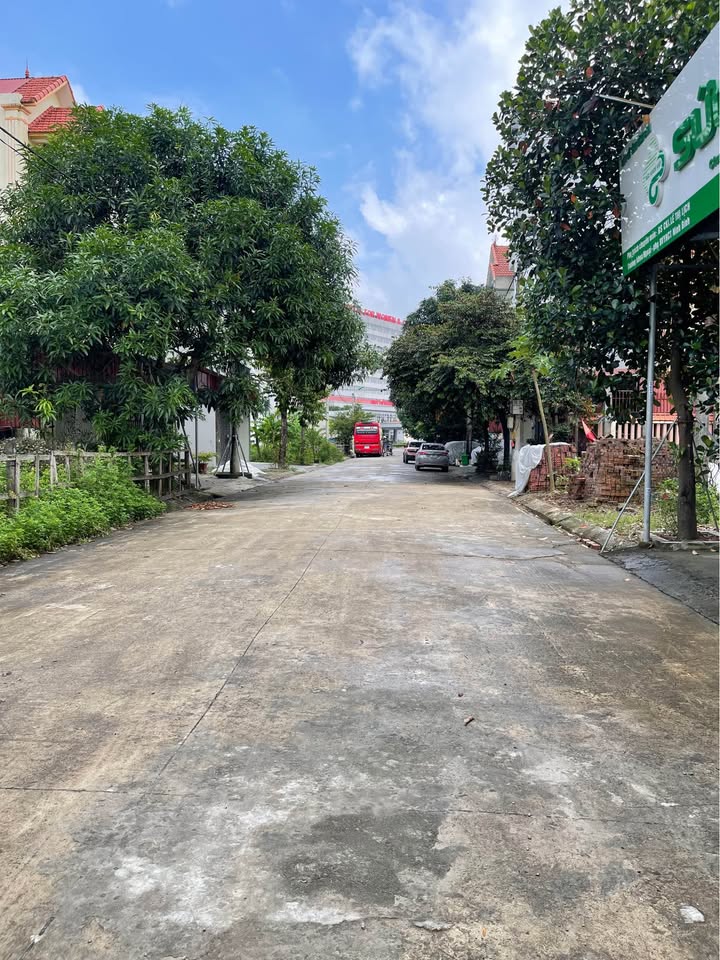 Đất nền phường Nam Thành, Ninh Bình 128m² - Đầu tư sinh lời hiếm có!