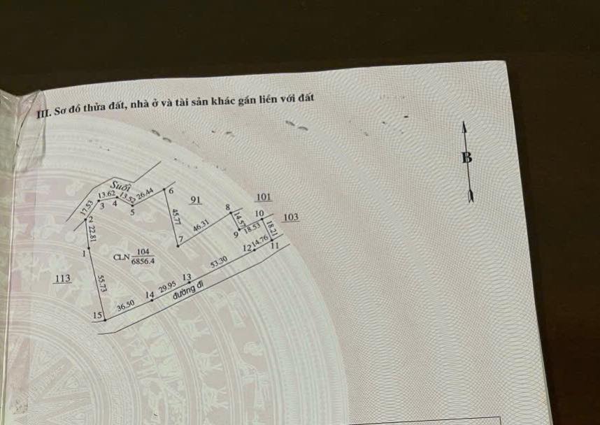 Đất nền Ea Nam 6856m² giá 550 triệu - Tiềm năng đầu tư lớn!