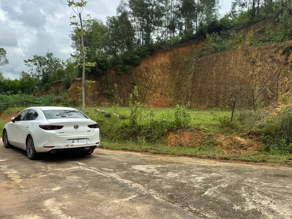 Đất nền Ngọc Sơn Đô Lương 1000m² giá 800 triệu - Cơ hội đầu tư tuyệt vời!