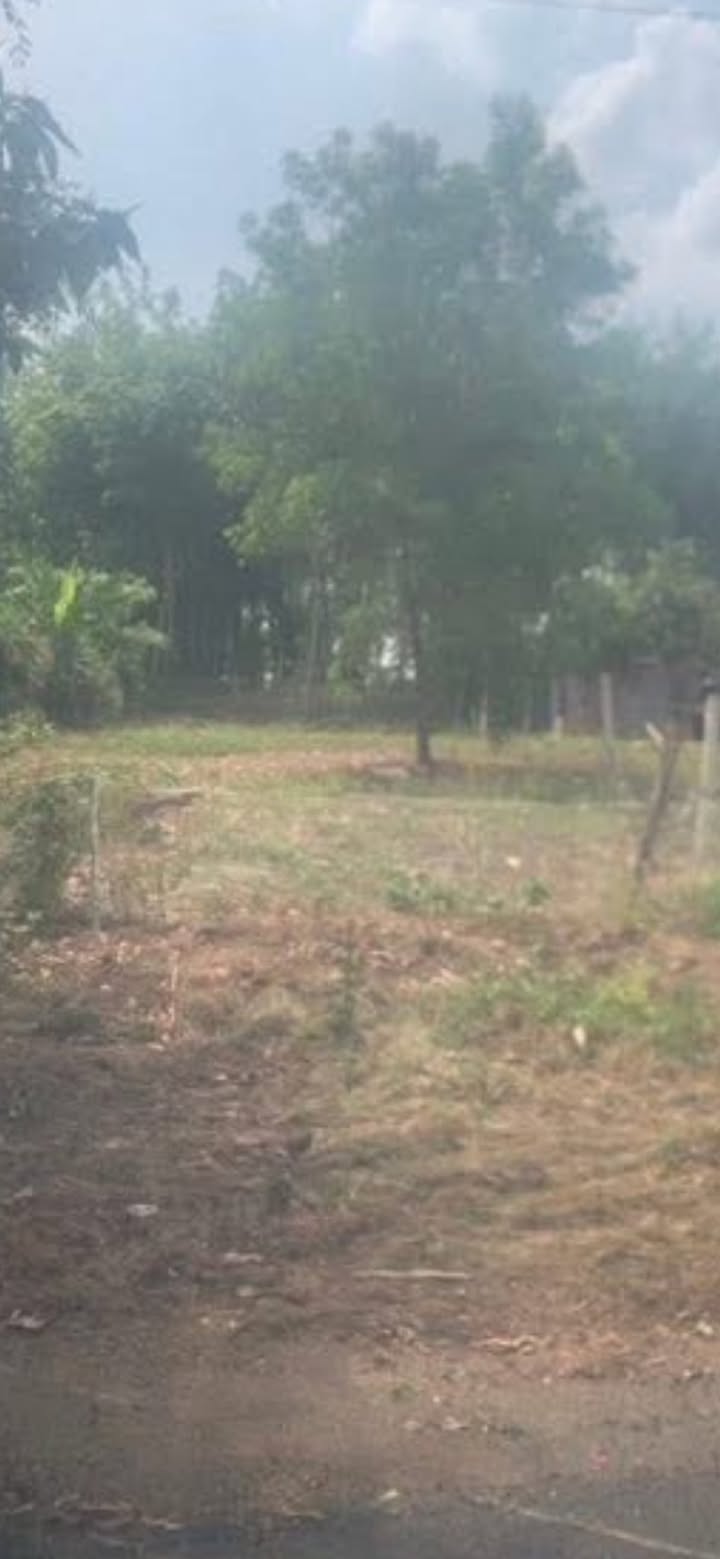 Đất mặt tiền Trị An, Vĩnh Cửu 330m² giá 2 tỷ - Đầu tư sinh lời lý tưởng!