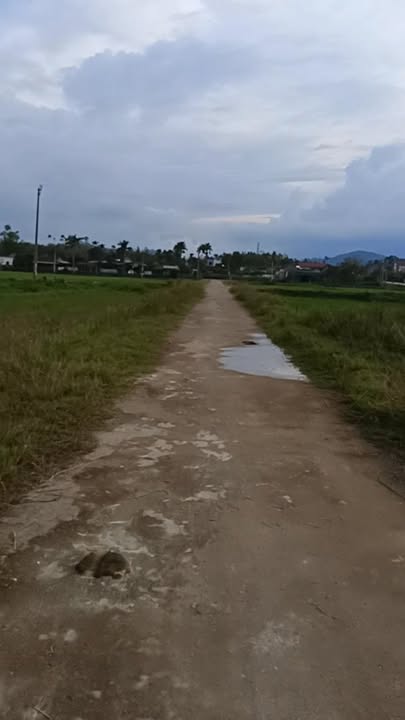 Đất Thạch Xuân 200m² giá 1.4 tỷ - Đầu tư sinh lời ngay hôm nay!