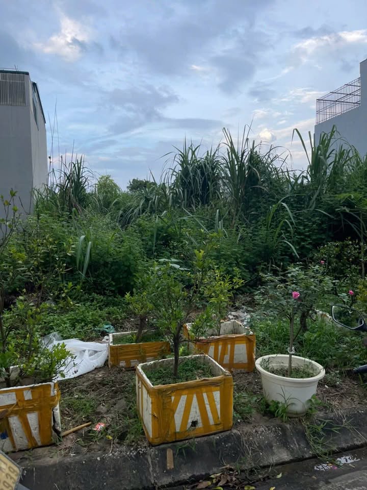 Mảnh đất 100m² tại Thịnh Lang, TP Hòa Bình - Giá chỉ 2.45 tỷ!