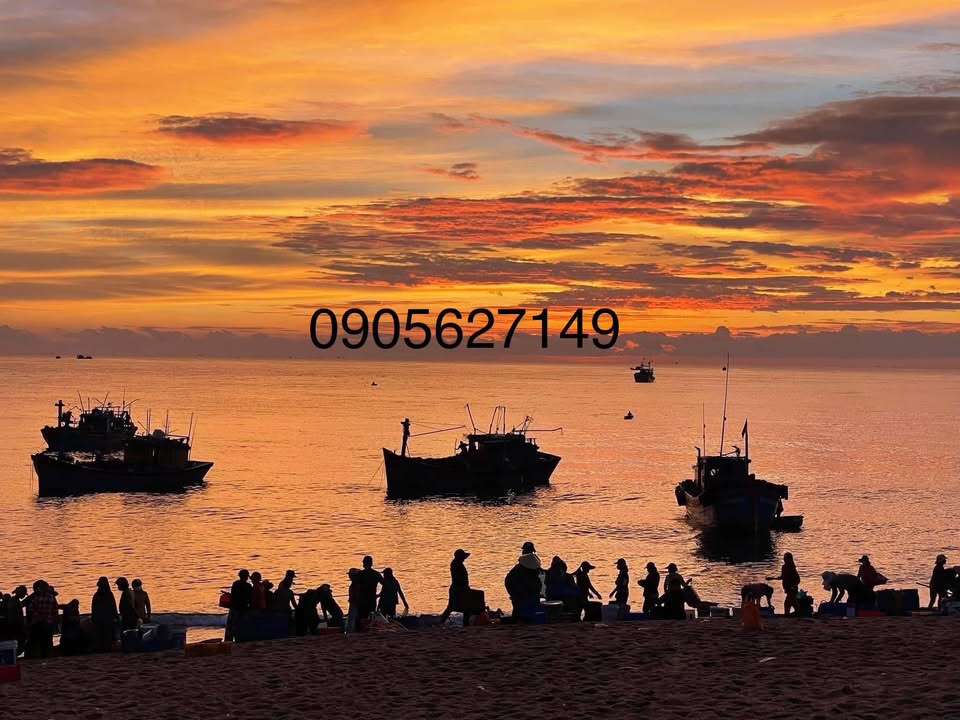 Đất nền ven biển Thăng An, Quảng Nam 950m² - Đầu tư sinh lời ngay!