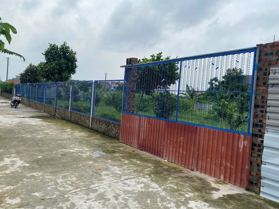 Cho thuê đất & xưởng tại phường Việt Yên, Bắc Giang - Diện tích 1000m², phù hợp sản xuất kinh doanh