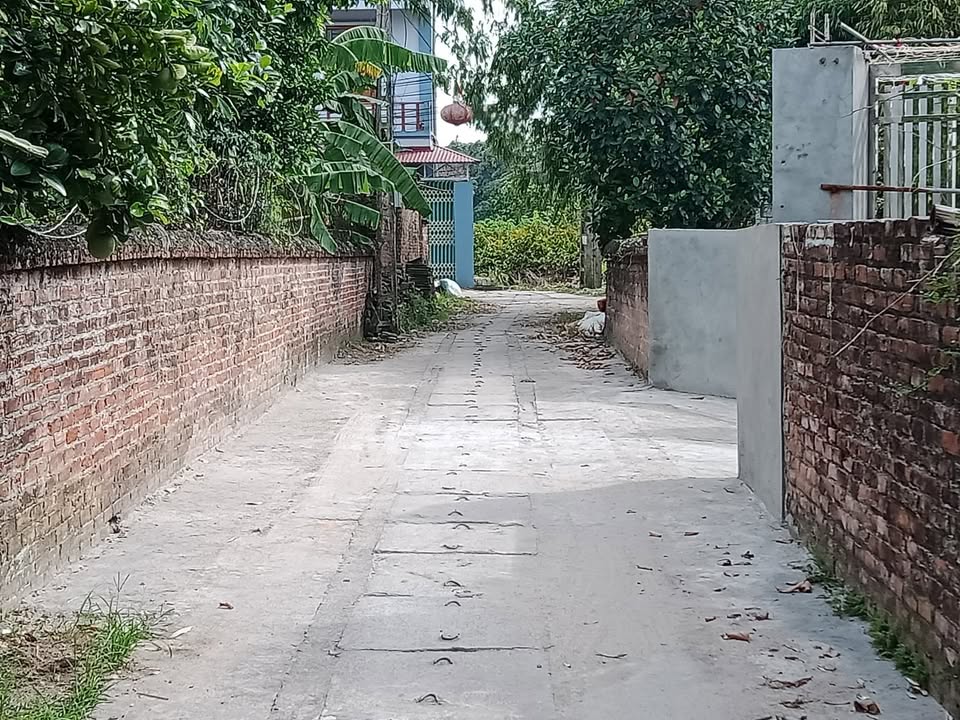 Đất nền 110m² Tích Giang, Phúc Thọ - Sổ đỏ chính chủ, giá tốt