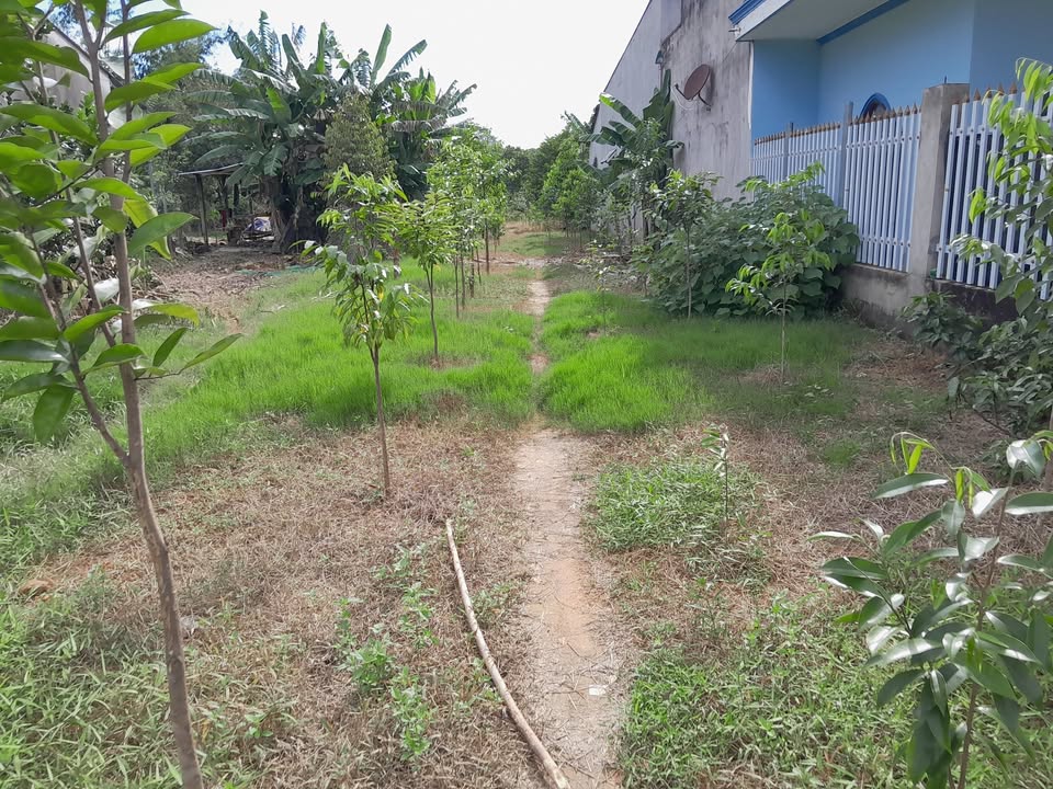 Đất thổ cư 1800m² tại mặt đường ĐT 721, Cát Tiên - Giá chỉ 750 triệu!