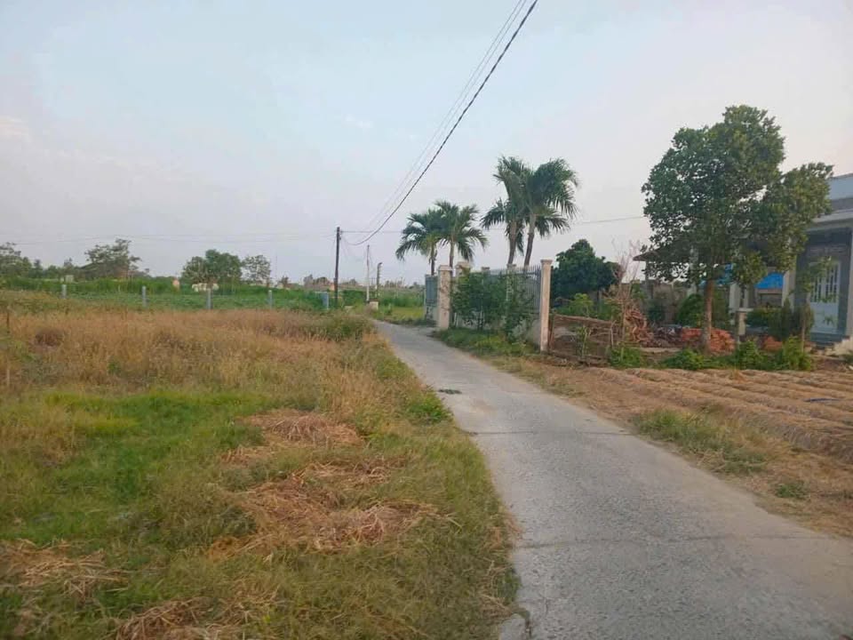 Đất mặt tiền ấp Hiệp Trị, Bình Nghị 224.5m² giá chỉ 350 triệu - Đầu tư sinh lời ngay!