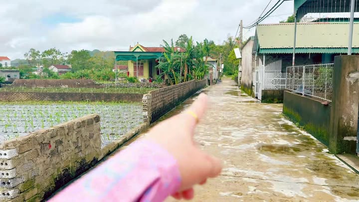 Đất thổ cư Thôn 11, xã Quỳnh Văn 18000m² - Đầu tư sinh lời nhanh chóng!