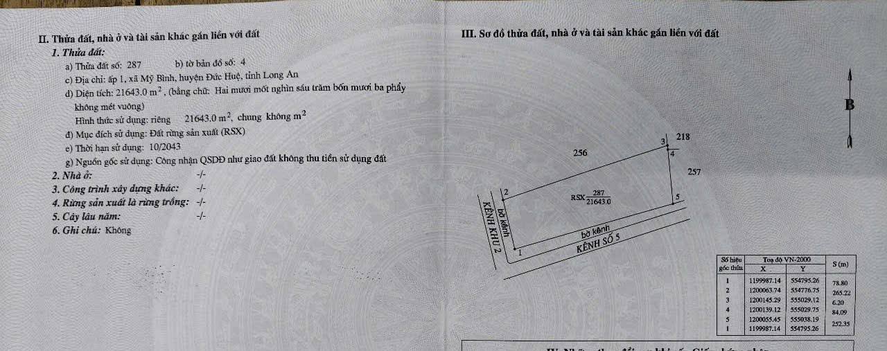 Đất 2 mặt tiền Mỹ Bình, Đức Huệ 16.800m² - Giá chỉ 1,8 tỷ/mẫu!