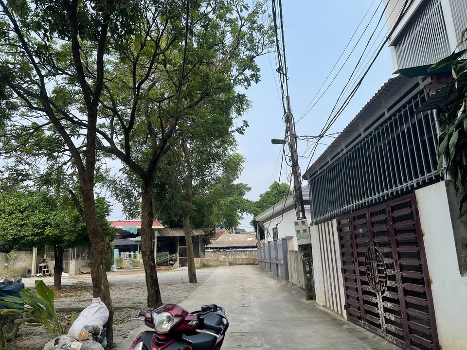 Đất khu 13 Hoàng Xá 117m² giá 2 tỷ - Vị trí đẹp, tiện ích đầy đủ!