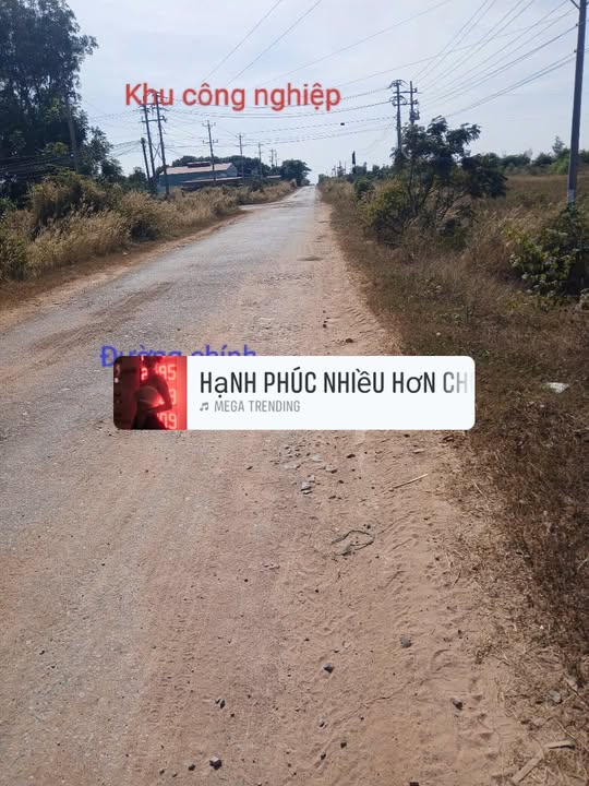 Farm 13ha tại thôn 2, xã Hàm Liêm, Lâm Đồng - Giá hấp dẫn chỉ 126 tỷ