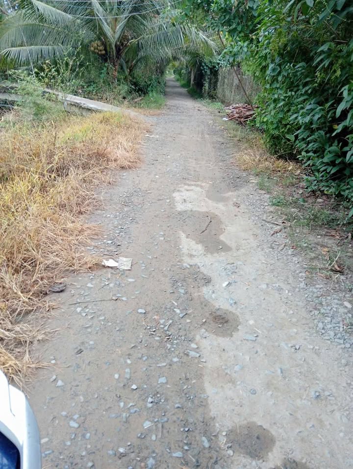 Đất vườn 925m² tại xã Nhị Bình Cũ, Đồng Tháp - Giá chỉ 850 triệu