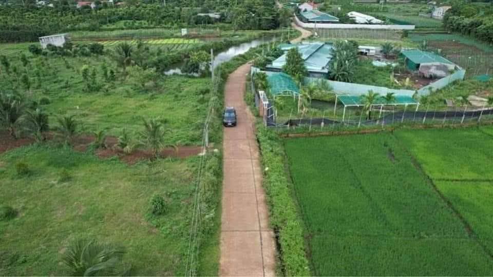 Farm cho thuê tại Hòa Khánh, Buôn Ma Thuột 720m² - Giá chỉ 4 triệu/tháng!