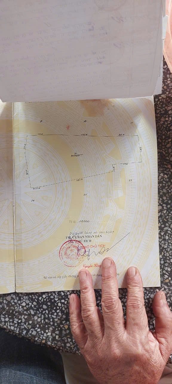 Đất nông nghiệp 3ha tại Làng Pan, xã Dun, Chư Sê, Gia Lai - Giá chỉ 11 tỷ!