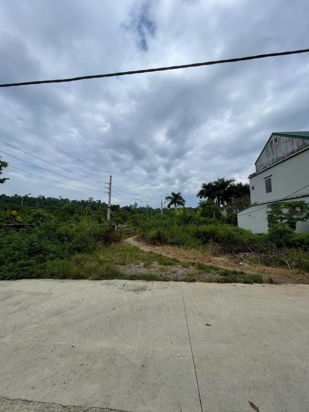 Đất nền Thạch Hòa, Thạch Thất 720m² giá 18 tỷ - Vị trí đắc địa, cơ hội đầu tư sinh lời!