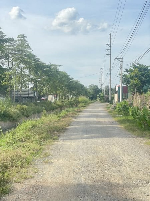 Kho xưởng 5000m² Thường Tín, Hà Nội giá 55 tỷ - Hoạt động ngay!