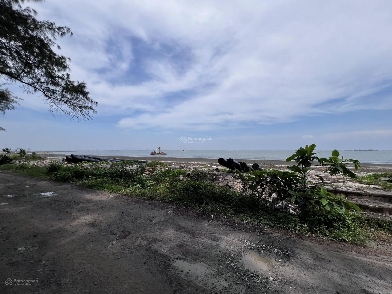 Đất mặt tiền biển 2.500m² cho thuê tại Cần Giờ - Tiềm năng kinh doanh vượt trội!