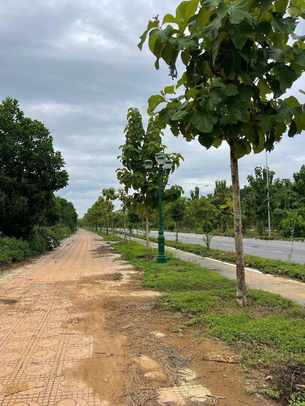 Bán lô đất 350m² tại Yên Bài, Ba Vì - Giá chỉ 30 triệu/m² - Sổ đỏ chính chủ!