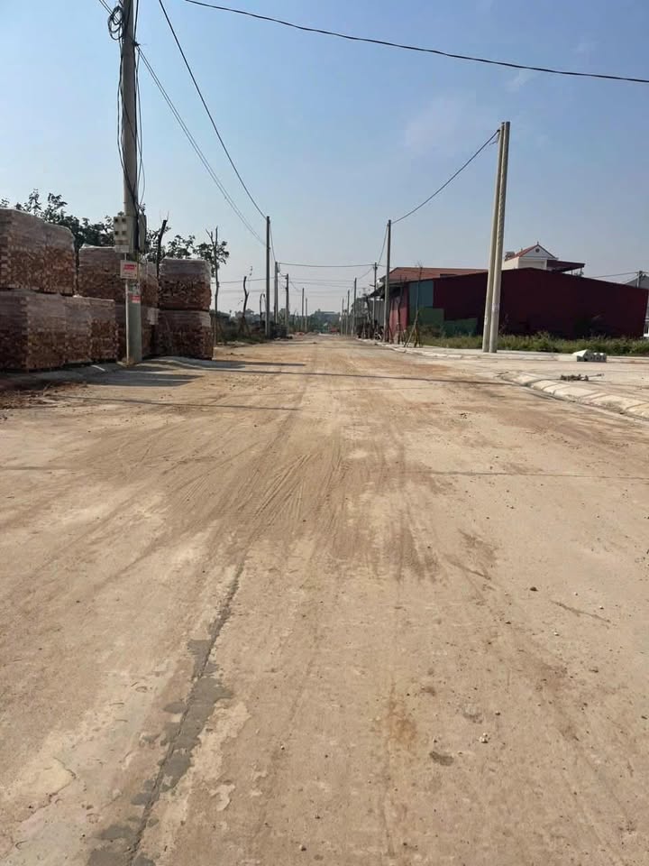 Đất nền phân lô Trại Cá Tân Phong 100m² giá 3 tỷ - Đầu tư sinh lời ngay!