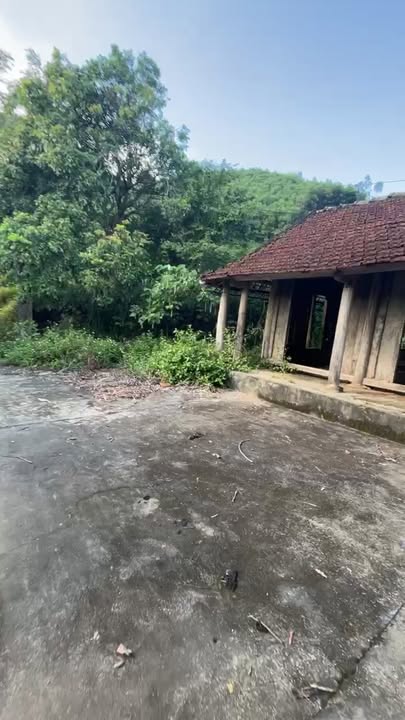 Farm Hợp Hòa, Sơn Dương, Tuyên Quang 1.5ha - Đất đẹp, vị trí tốt chỉ 3 tỷ!