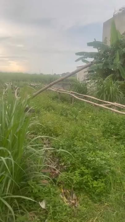 Đất nền Thọ Lập, Thọ Xuân 150m² giá 700 triệu - Cắt lỗ nhanh chóng!