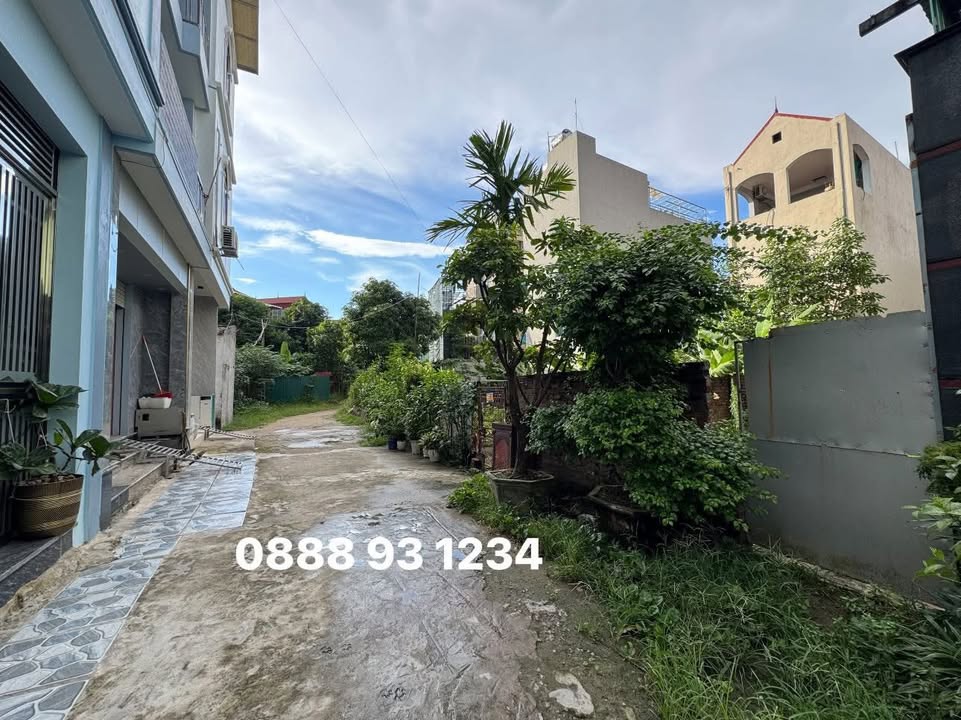 Đất tại Uy Nỗ, Đông Anh 67m² - Vị trí trung tâm, mặt tiền rộng!