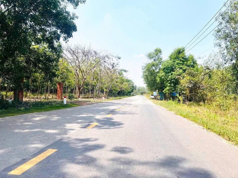 Đất nền mặt tiền DT749A Dầu Tiếng 300m² giá chỉ 800 triệu - Đầu tư sinh lời ngay!