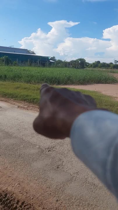 Đất nền Bảo Thạnh, Ba Tri 1260m² giá 5.25 tỷ - Cơ hội đầu tư hấp dẫn!