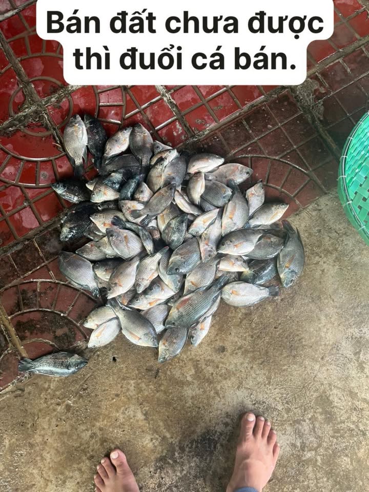 FrontHouse đường Nguyễn Lương Bằng, Bạc Liêu 90m² giá 2.7 tỷ - Đầu tư kinh doanh sinh lời!