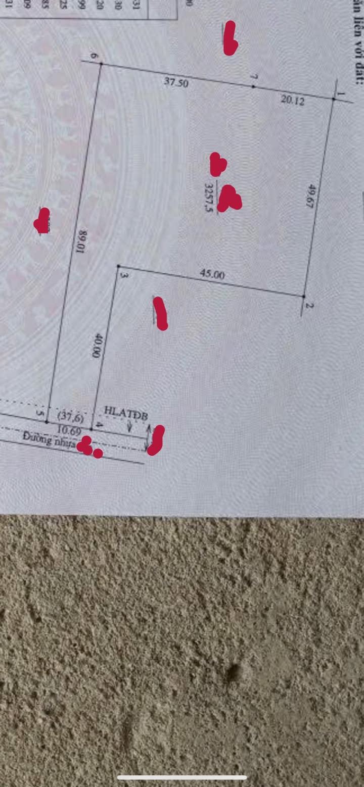 Đất nền Châu Thới 3257m² giá vài trăm triệu - Sổ hồng chính chủ, đầu tư sinh lời!