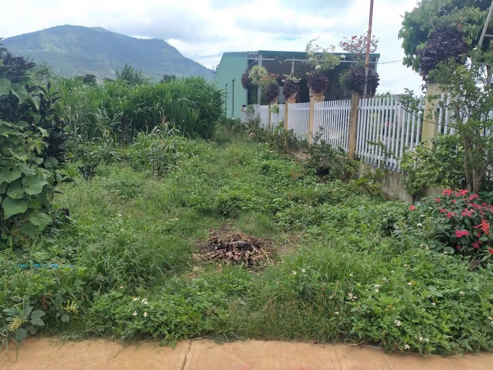 Đất Hiệp Thạnh, Đức Trọng 348m² giá 1.7 tỷ - Sổ đỏ chính chủ, bán gấp!