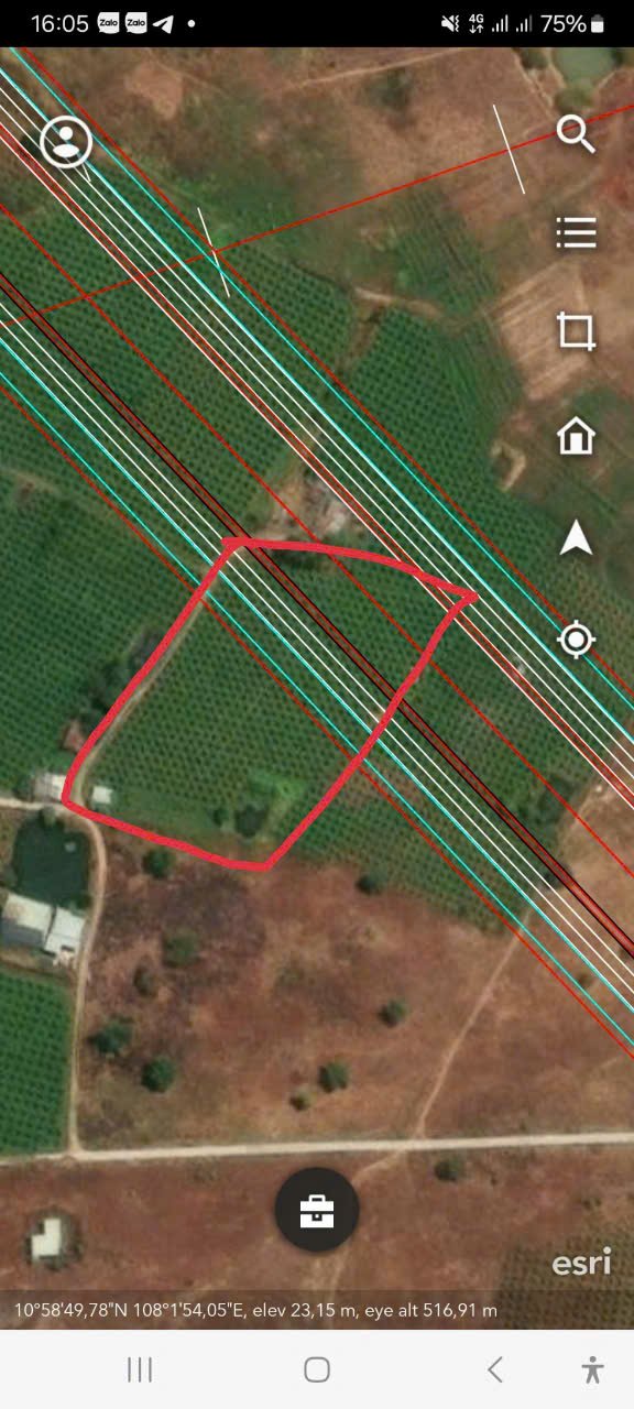 Đất nông nghiệp 6 sào Lê Duẩn, Hàm Hiệp - Giá 954 triệu - Cơ hội đầu tư hấp dẫn!