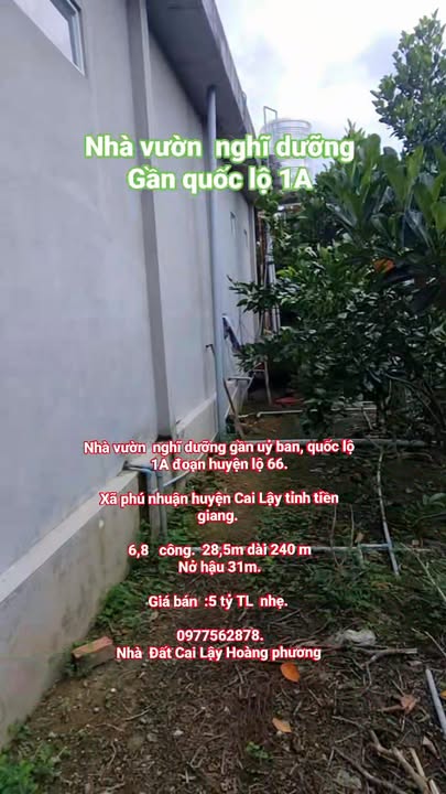 Nhà vườn nghỉ dưỡng tại xã Phú Nhuận, huyện Cai Lậy, 68000m² giá 5 tỷ - Đầu tư lý tưởng!