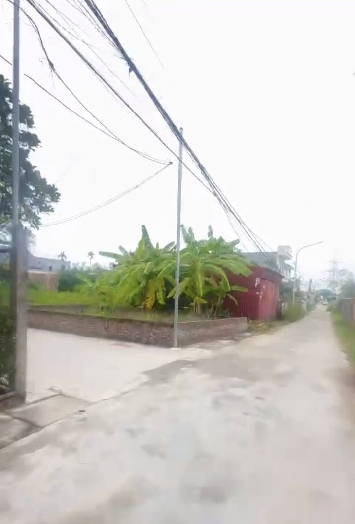 Đất nền góc 50m² tại An Dương, Hải Phòng giá chỉ 950 triệu - Đầu tư sinh lời nhanh!