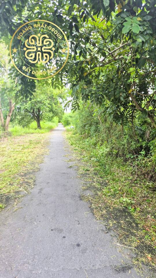 Đất nền mặt tiền Kênh Cầu Nhum - Phường Hòa Thành - 6.4 tỷ - Cơ hội đầu tư tuyệt vời!