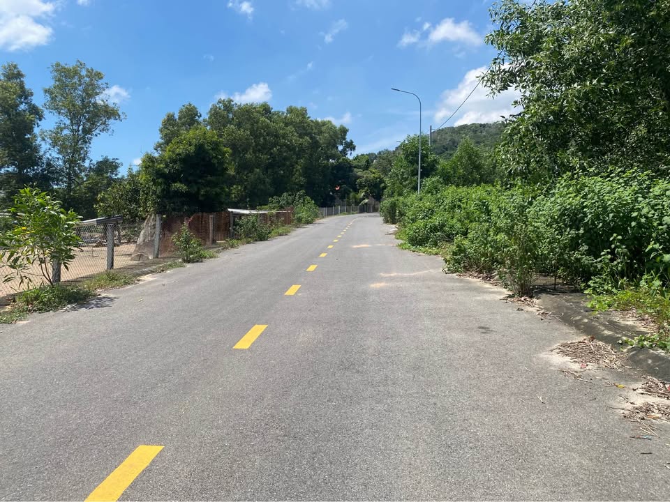 Đất 1 Sào 8 Cây Lâu Năm tại Tam Phước, Phước Trinh, Long Điền - Tiềm năng đầu tư hấp dẫn!