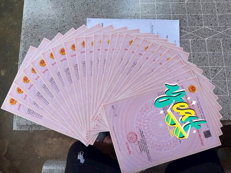 Đất thổ cư 160m² xã Bình Giã, Châu Đức chỉ từ 380 triệu - Cơ hội vàng đầu tư!