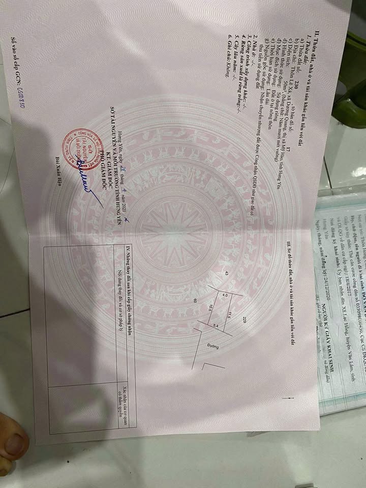 Đất nền Dương Quang, Mỹ Hào 50m² giá 1 tỷ - Cơ hội đầu tư tuyệt vời!