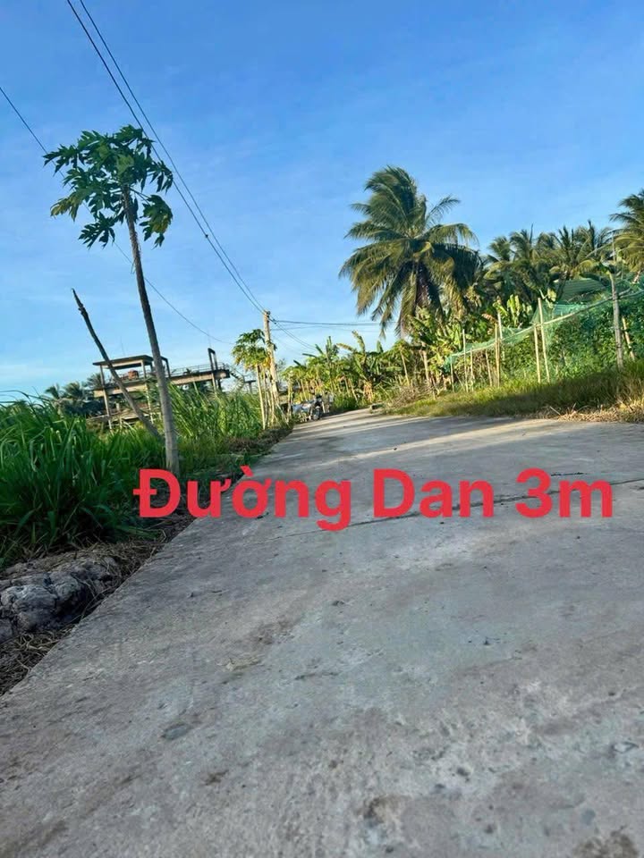 Đất nền mặt tiền đường Dàl tại Đại Phúc, Càng Long - Giá chỉ 170 triệu - Đầu tư sinh lời nhanh!