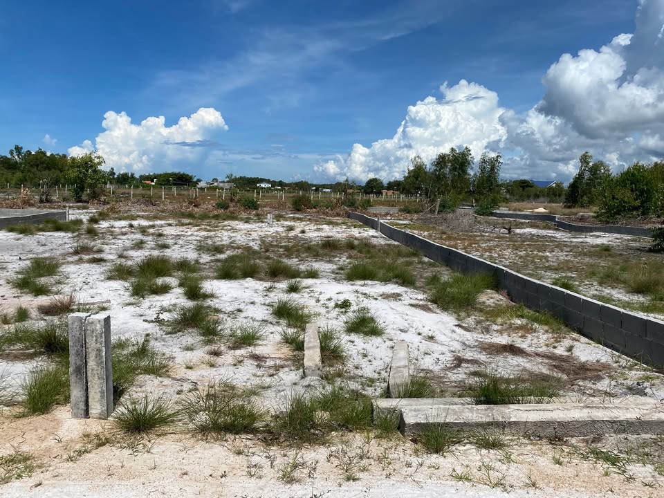 Đất nền La Gi 100m² chỉ 800 triệu - Đầu tư an cư lý tưởng!