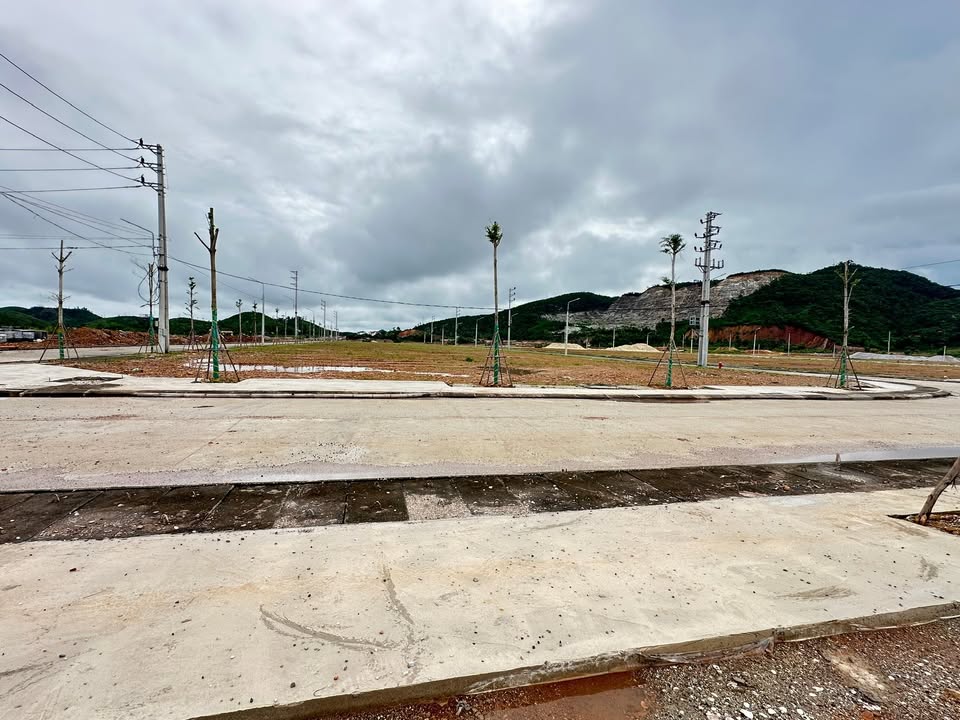 Đất nền Đoàn Kết, Vân Đồn - Diện tích đa dạng từ 400m² đến 10.000m², chỉ từ 2.75 triệu/m²!